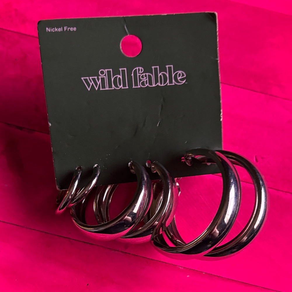 Wild Fable Shiny Silver Hoop Earrings Set